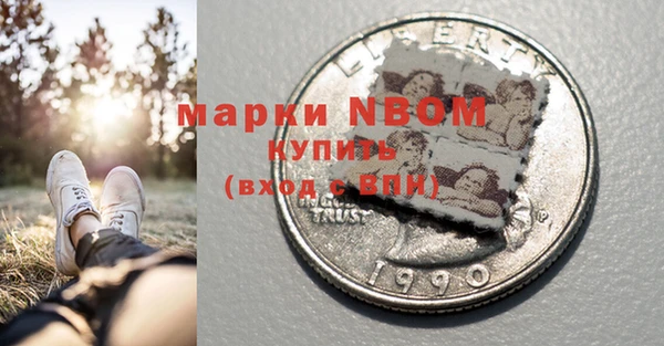 хмурый Абаза